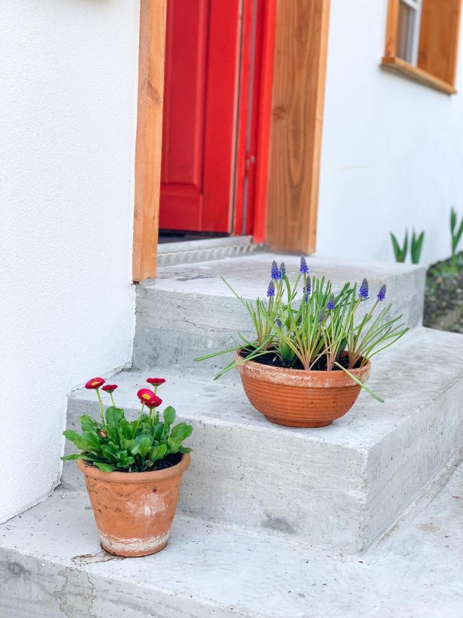 Ferienhaus Feni Neckargemünd Zewnętrze zdjęcie